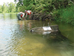 Two U.S. Fish and Wildlife Service sea lamprey control agents installing a fyke net to trap migrating juvenile sea lamprey.