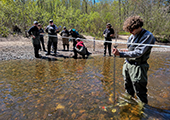 Measuring Stream Discharge