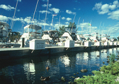 Michigan Marina