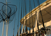 Charter Fishing Boat - Fishing Pole Array