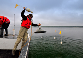 Lake Trout Fry Trap Deployment