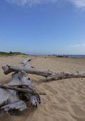 Great Lakes Beach