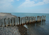 Whitefish Point